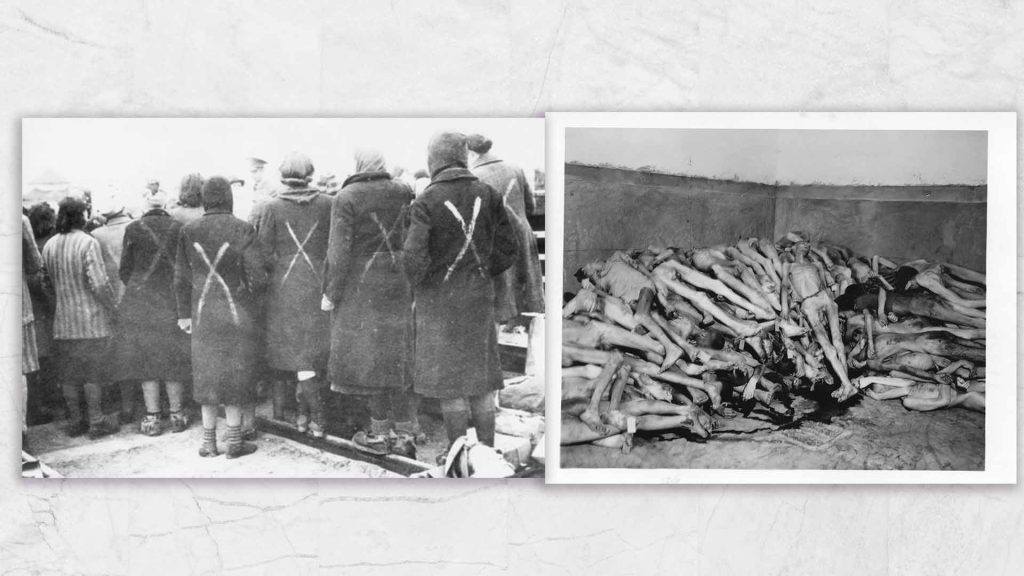 Female prisoners marked for transport at the Ravensbruck concentration camp. (Supplied: Wikimedia) Dachau Concentration Camp Atrocities. Bodies of inmates awaiting cremation. 