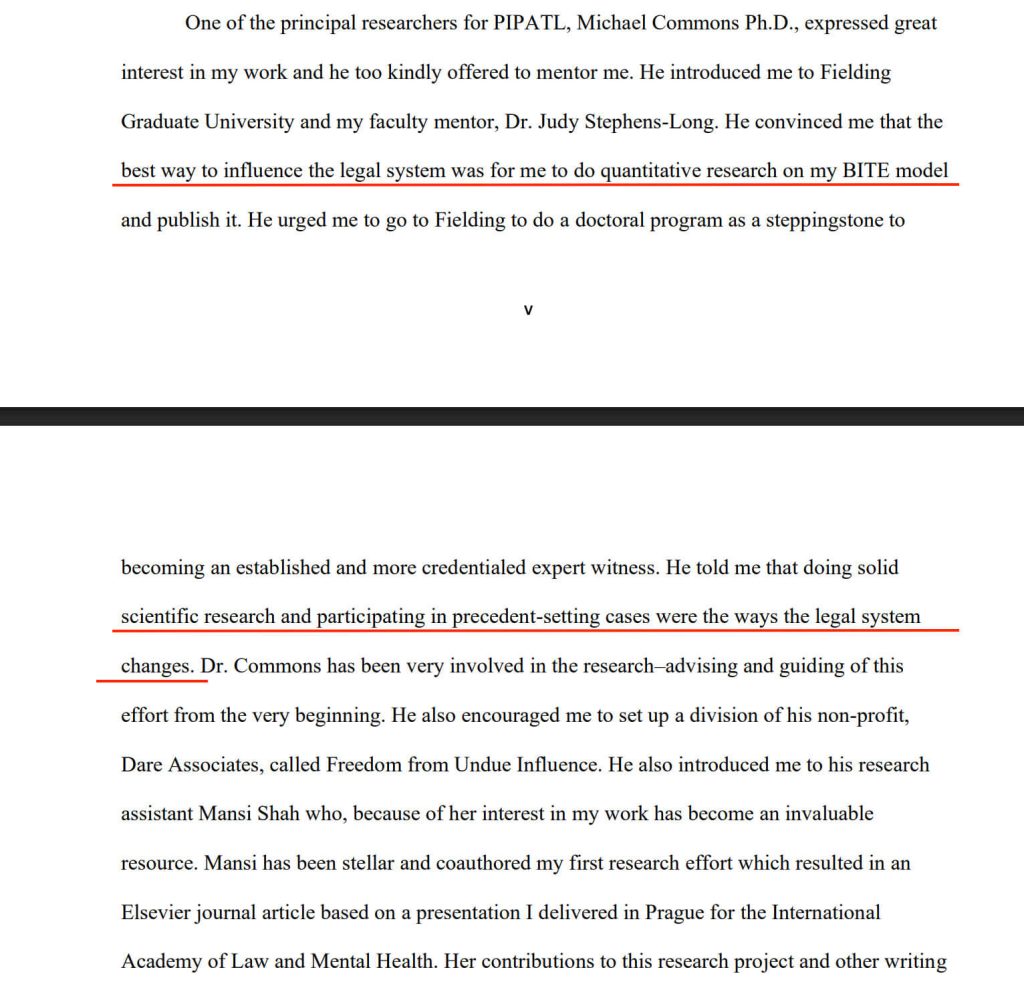 Screenshot from Hassan's dissertation

